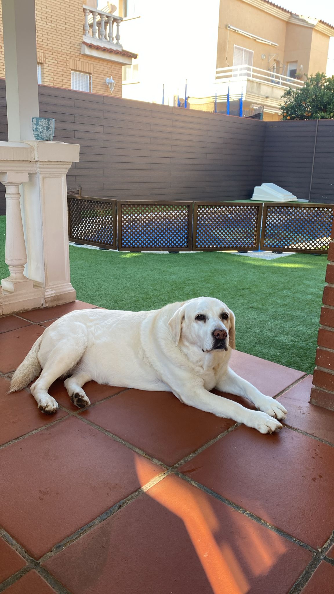 Nuka - foto principal