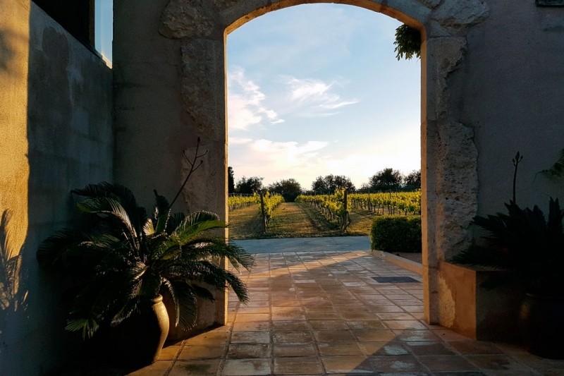 L'Orangerie - Arc amb vinyes